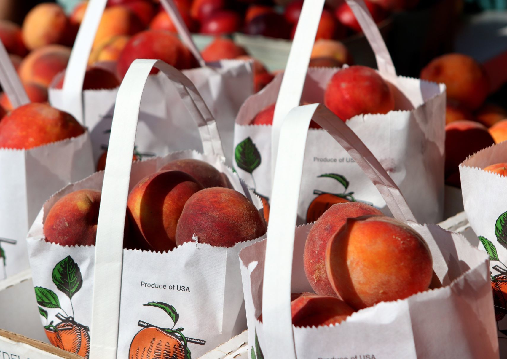 Tower Grove Farmers Market
